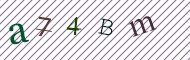 CAPTCHA code